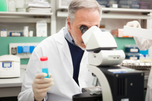 Scientist at work in a laboratory
